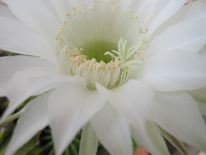 6月の陶芸教室♪_f0374160_22075341.jpg