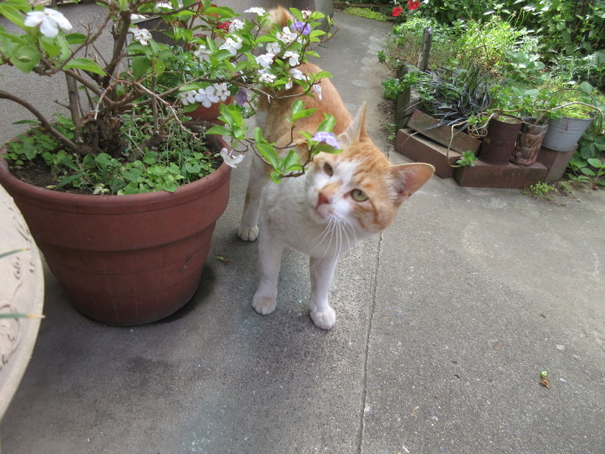 6月の陶芸教室♪_f0374160_22090363.jpg