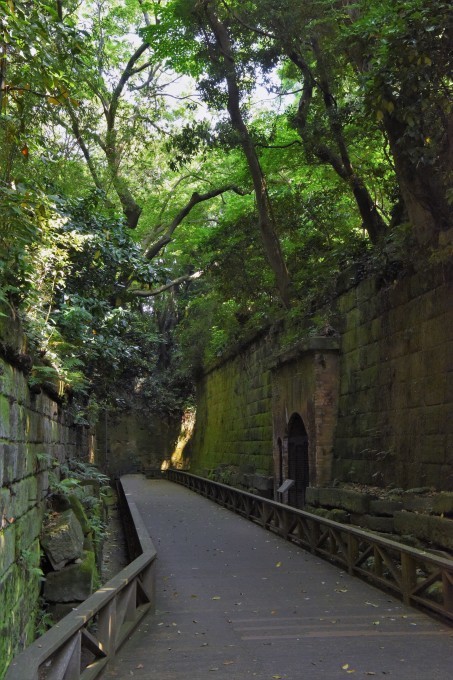 横須賀市　【猿島｜ジブリの島】_e0347862_23223216.jpg