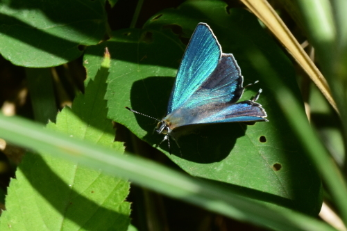 f0348480_15203761.jpg
