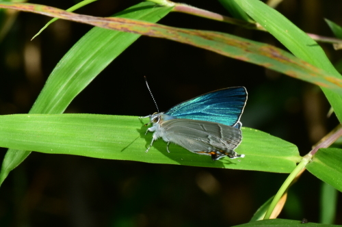 f0348480_15223911.jpg