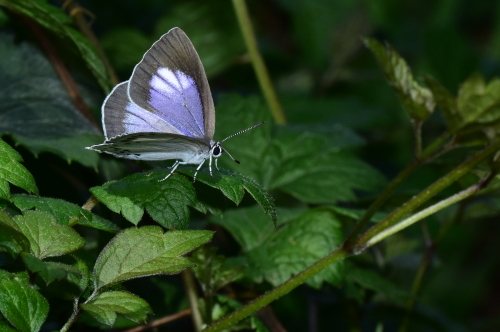 f0348480_15262435.jpg