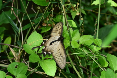 f0348480_15391885.jpg