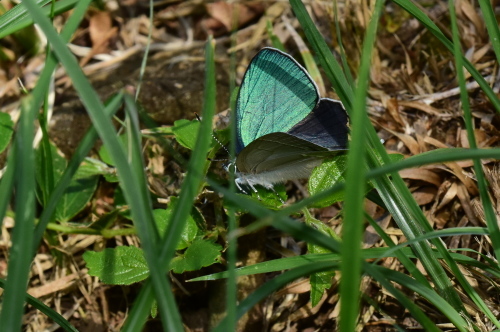 f0348480_15442680.jpg