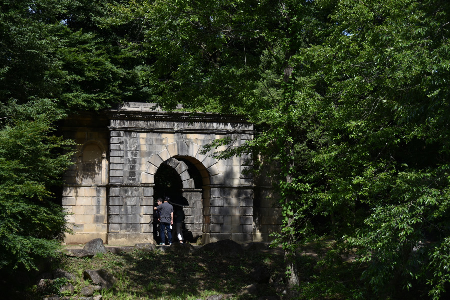 七ッ洞公園、緑の中の生き物たち・・・トンボ_b0163381_14321215.jpg