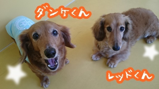 2ショット! パート2_f0357682_12191009.jpg