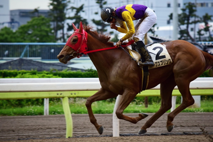 東京シティ競馬_a0127090_01375278.jpg