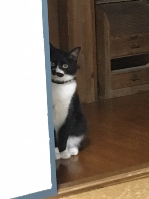 d0360391_20551476.jpeg