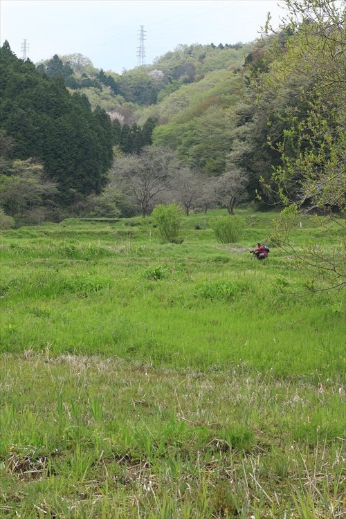 いがり先生の里山ＷＳ　横沢入り_b0246693_09463781.jpg