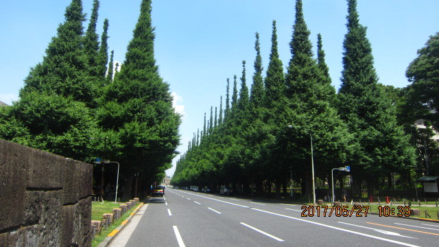 c0133096_20171386.jpg