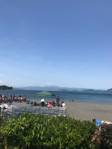絶景ポイント大瀬崎 その2_f0101201_13501998.jpg