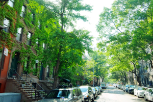緑の増えたニューヨークの普通の街角風景_b0007805_20422664.jpg