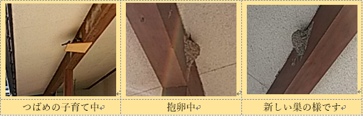 f0231709_20483291.png
