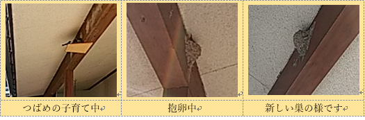 道の駅が「とよはま」は、夕焼けスポット…2017/6/4_f0231709_20483291.png