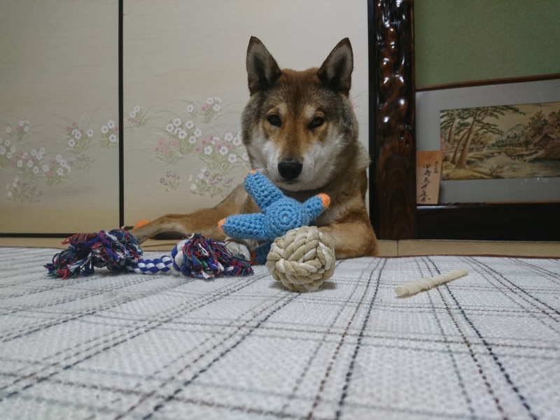 d0356213_14024881.jpg