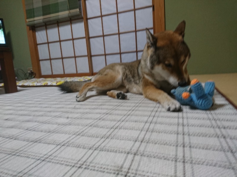 d0356213_14272421.jpg