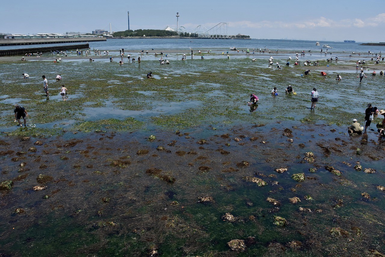 d0065116_20262083.jpg