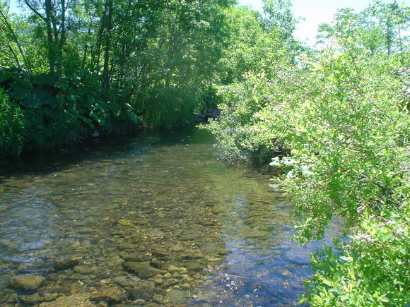 f0280717_14313935.jpg