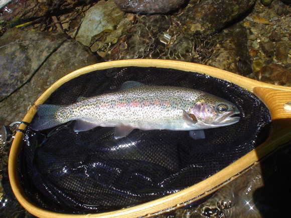 f0280717_14351528.jpg