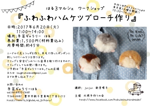 a0341218_17172410.jpeg