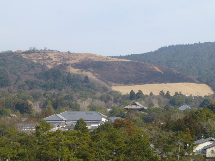 若草山山焼き編(19)：大和郡山(15.1)_c0051620_823847.jpg