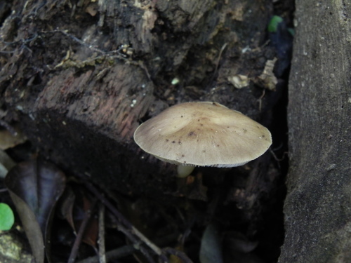 e0352220_14320548.jpg