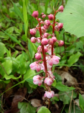 c0204725_2151323.jpg