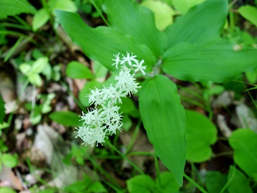 c0204725_22441195.jpg