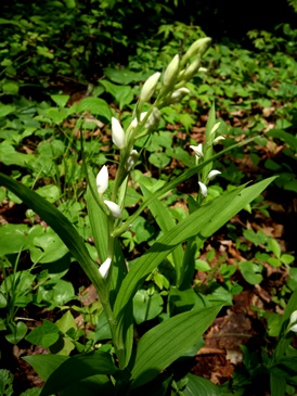 c0204725_22443333.jpg