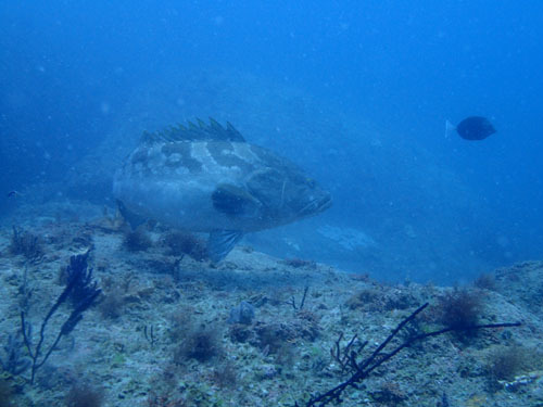 d0164831_16532997.jpg