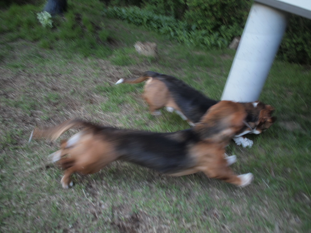 a0299945_08595638.jpg
