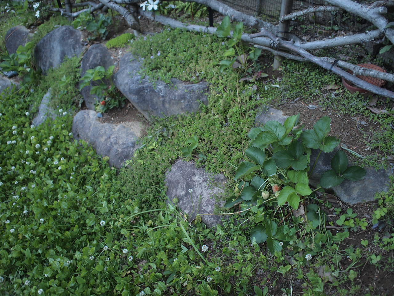a0299945_09081206.jpg