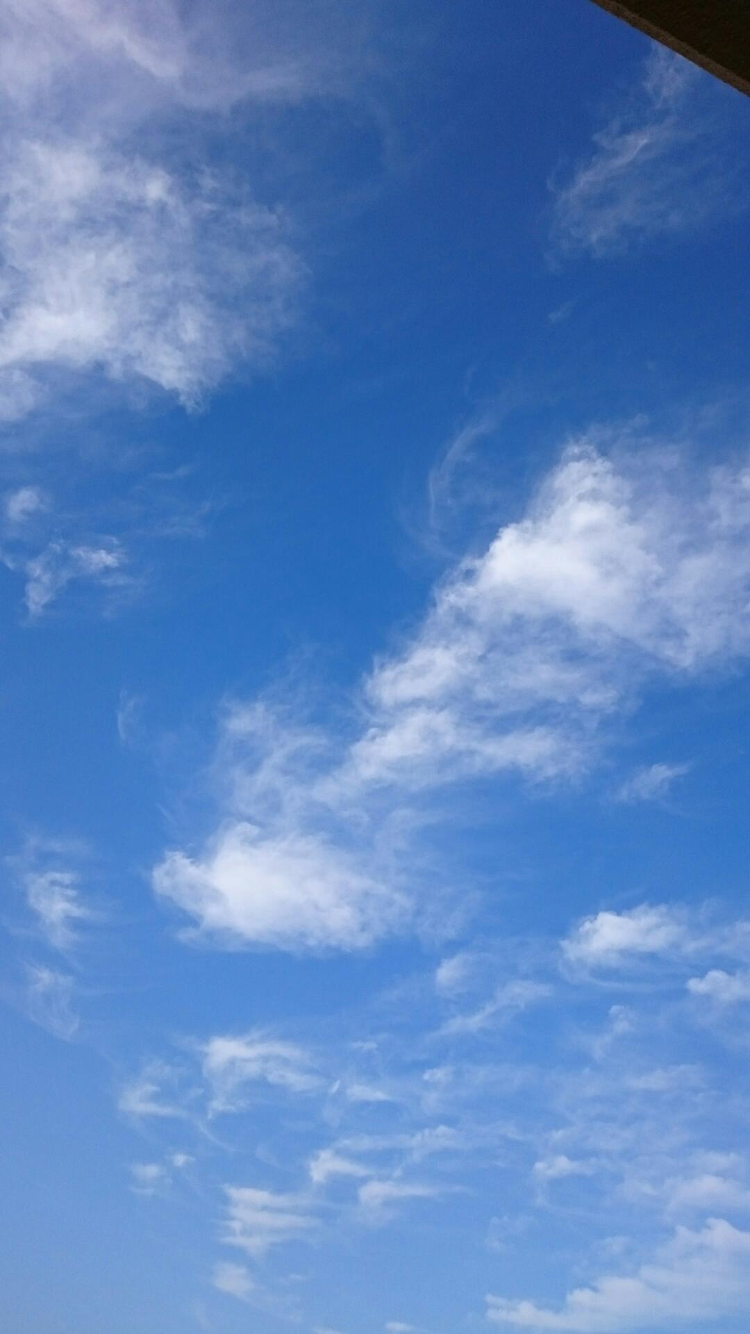 e0286346_8543721.jpg