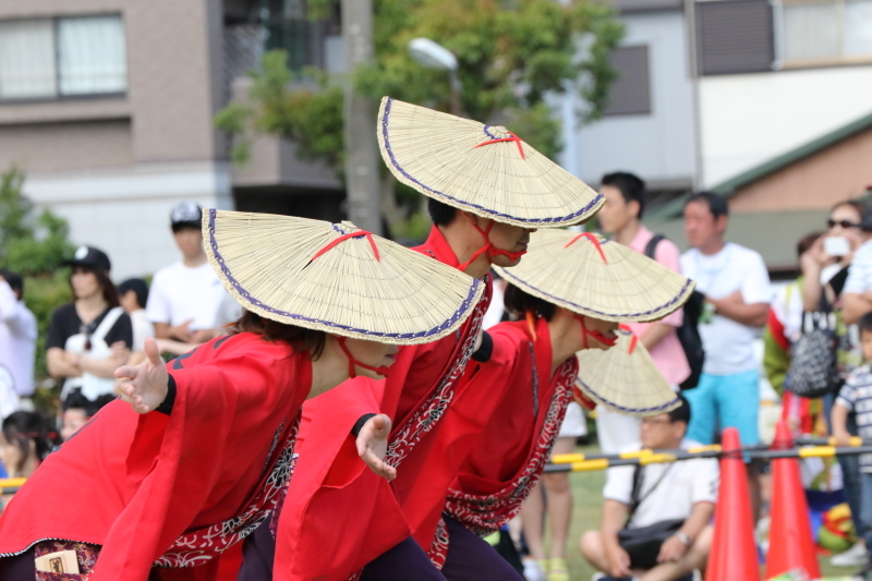 第14回 湘南よさこい祭り(2) 伊澤屋さん_f0364847_15323807.jpg