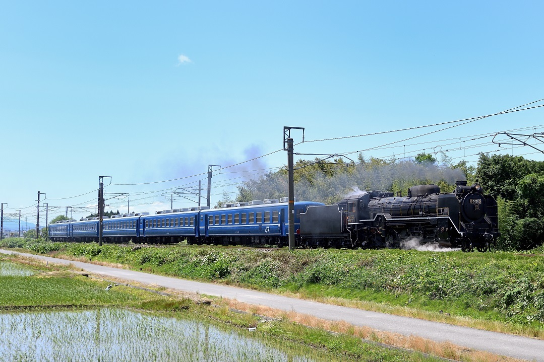 d0336159_22541889.jpg
