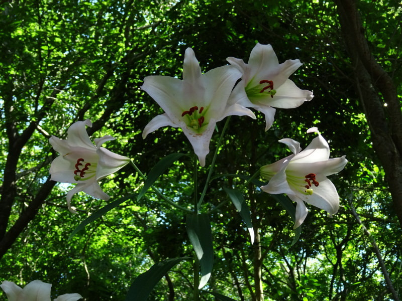 c0108460_22362762.jpg