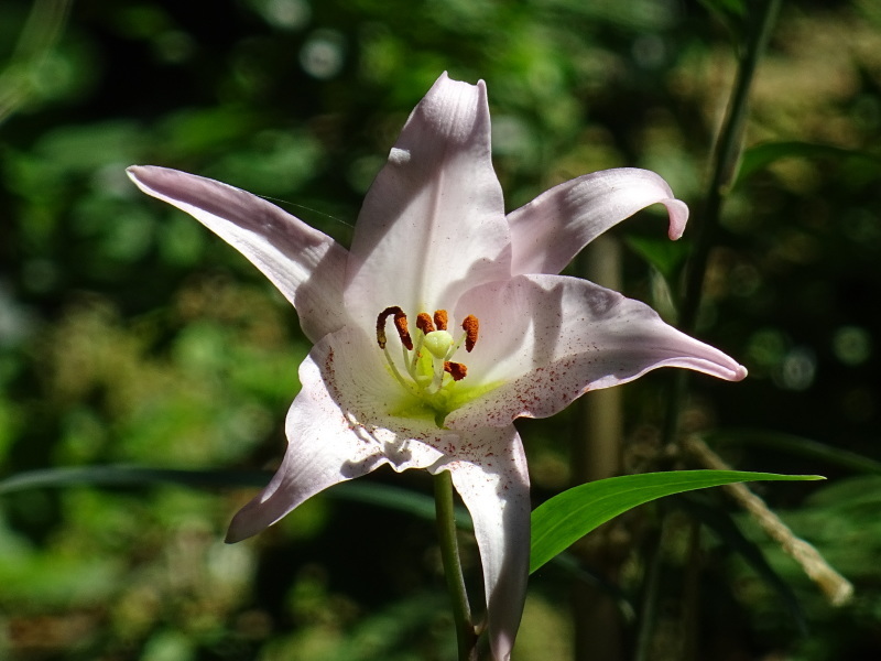 c0108460_22394099.jpg