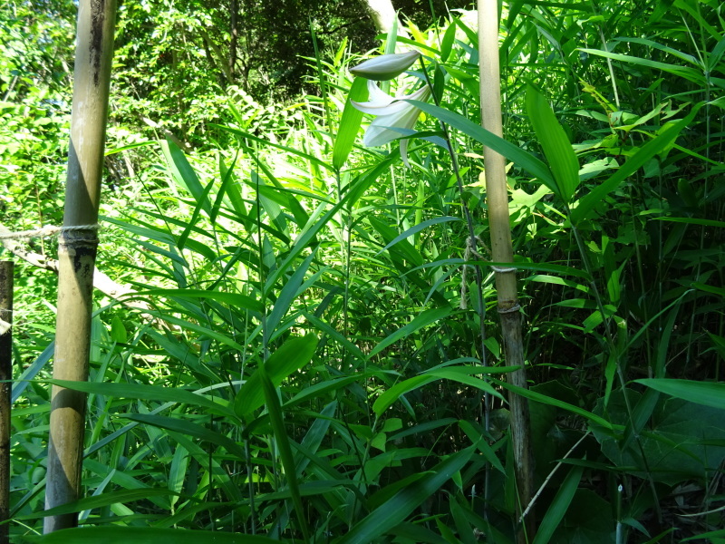 c0108460_22455944.jpg