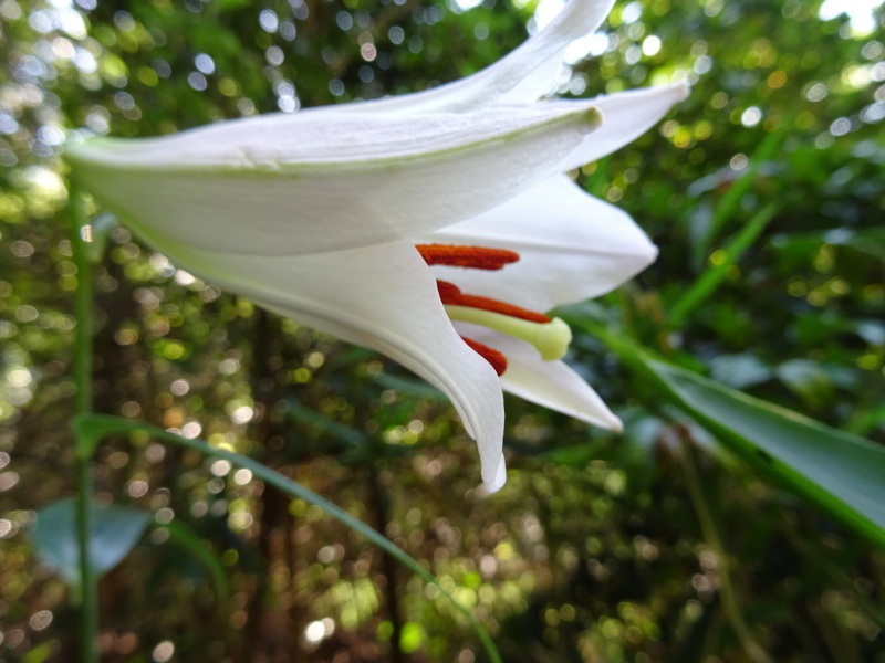 c0108460_22471181.jpg