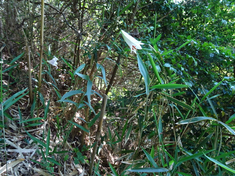 c0108460_22471945.jpg