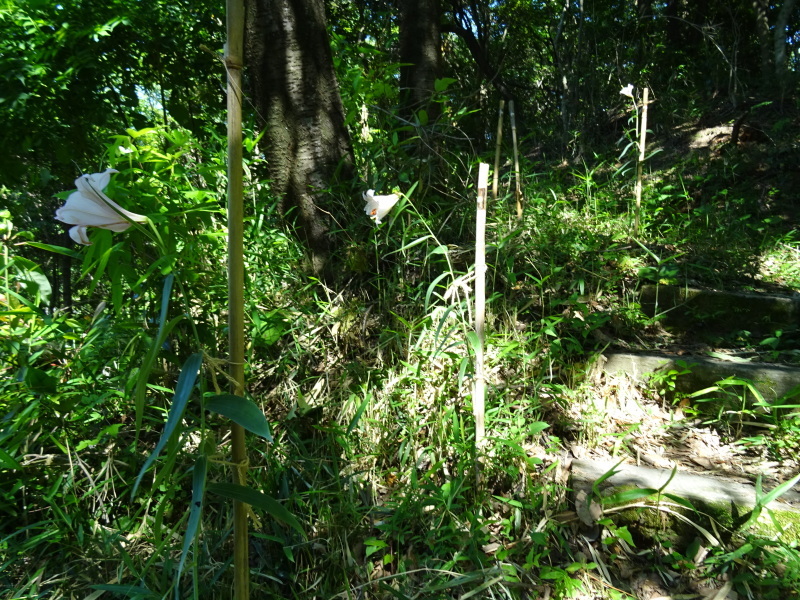 c0108460_22484742.jpg