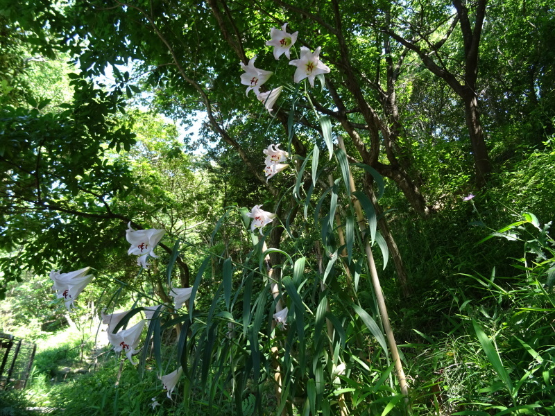 c0108460_22521294.jpg