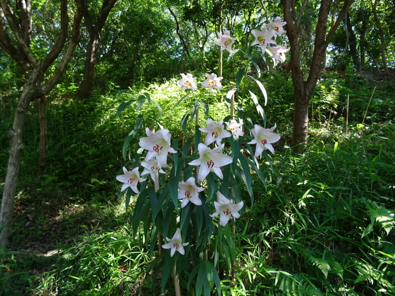 c0108460_22521489.jpg