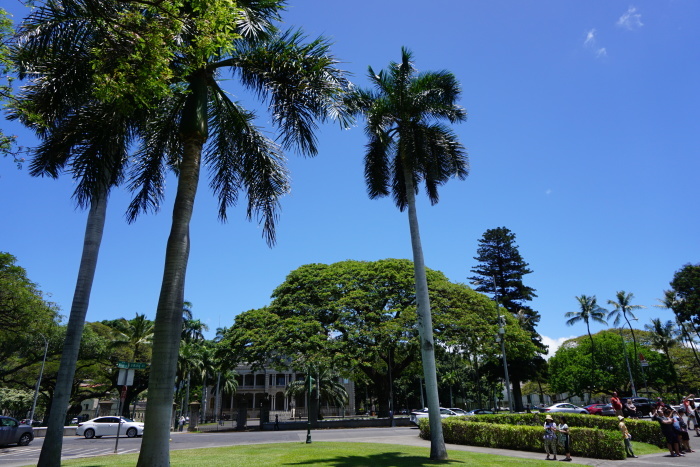 d0152261_10362010.jpg