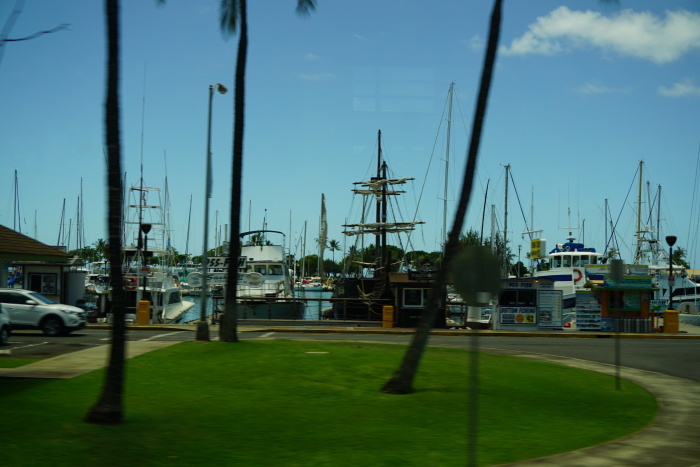 d0152261_10572332.jpg