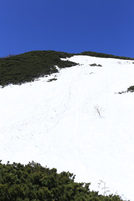 大好きな山　大好きな季節　170604　仙丈ケ岳　往路_e0338862_20172433.jpg