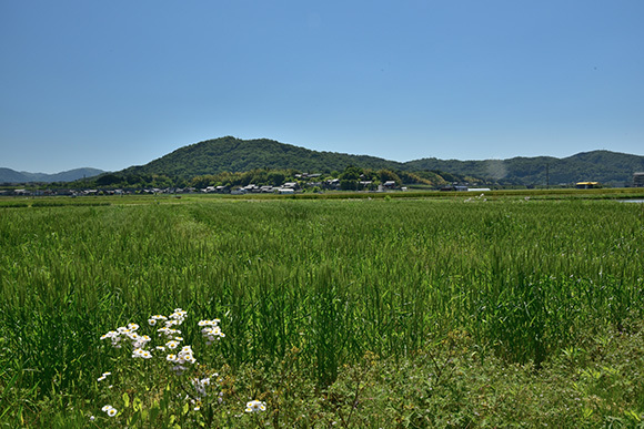 大和街道　伊賀上野から柘植宿をゆく_e0164563_09173537.jpg