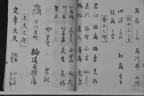 島原ぞめき 仮宅 その二_f0347663_12283337.jpg