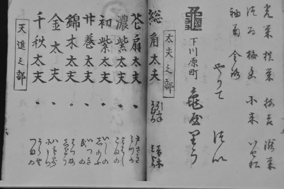 島原ぞめき 仮宅 その二_f0347663_12472516.jpg
