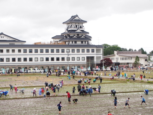 田舎館村第1田んぼアート田植え_2017.06.05_d0131668_17424590.jpg